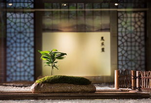 揚州精品茶葉店裝修與茶樓設(shè)計裝潢——盡在揚州宏鉅茶館服務(wù)